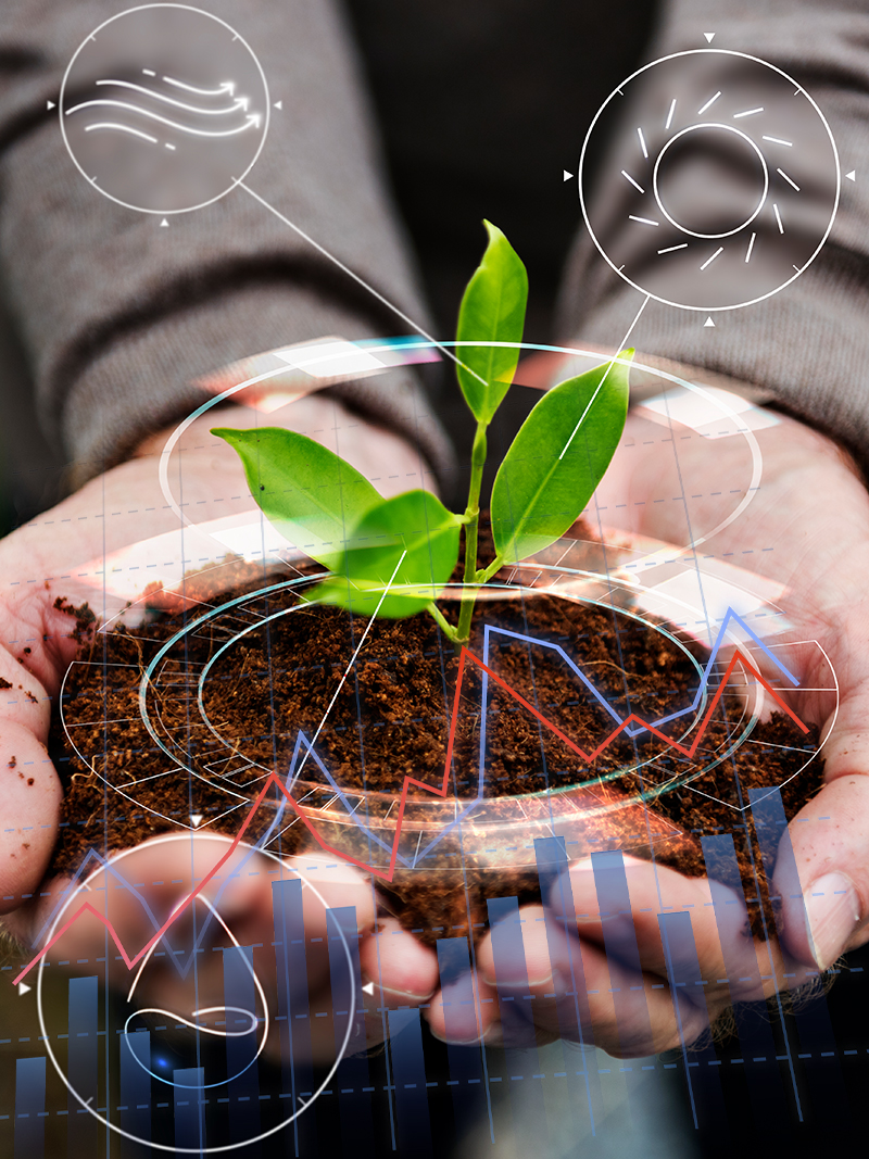 Bioökonomie und Kreislaufwirtschaft (Holz, Abfall, Wasser)