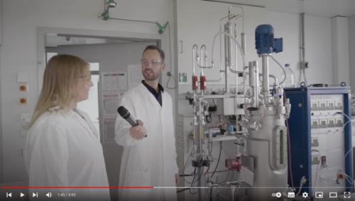 Insektenbioraffinerie - Mit Insekten hochwertige Nährstoffe aus Abfällen gewinnen (InBiRa, Stuttgart)